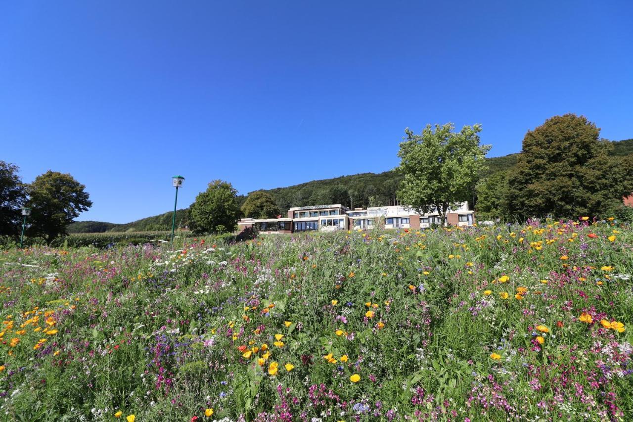 Hotel Wiehen-Therme Hullhorst المظهر الخارجي الصورة